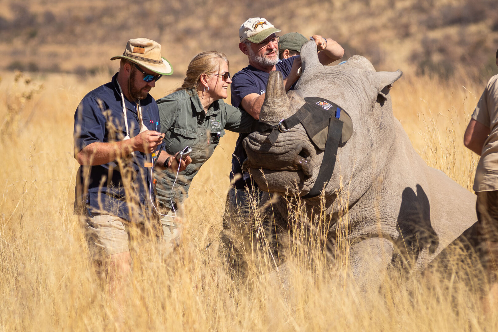 Toyota South Africa Motors helps save the rhinos