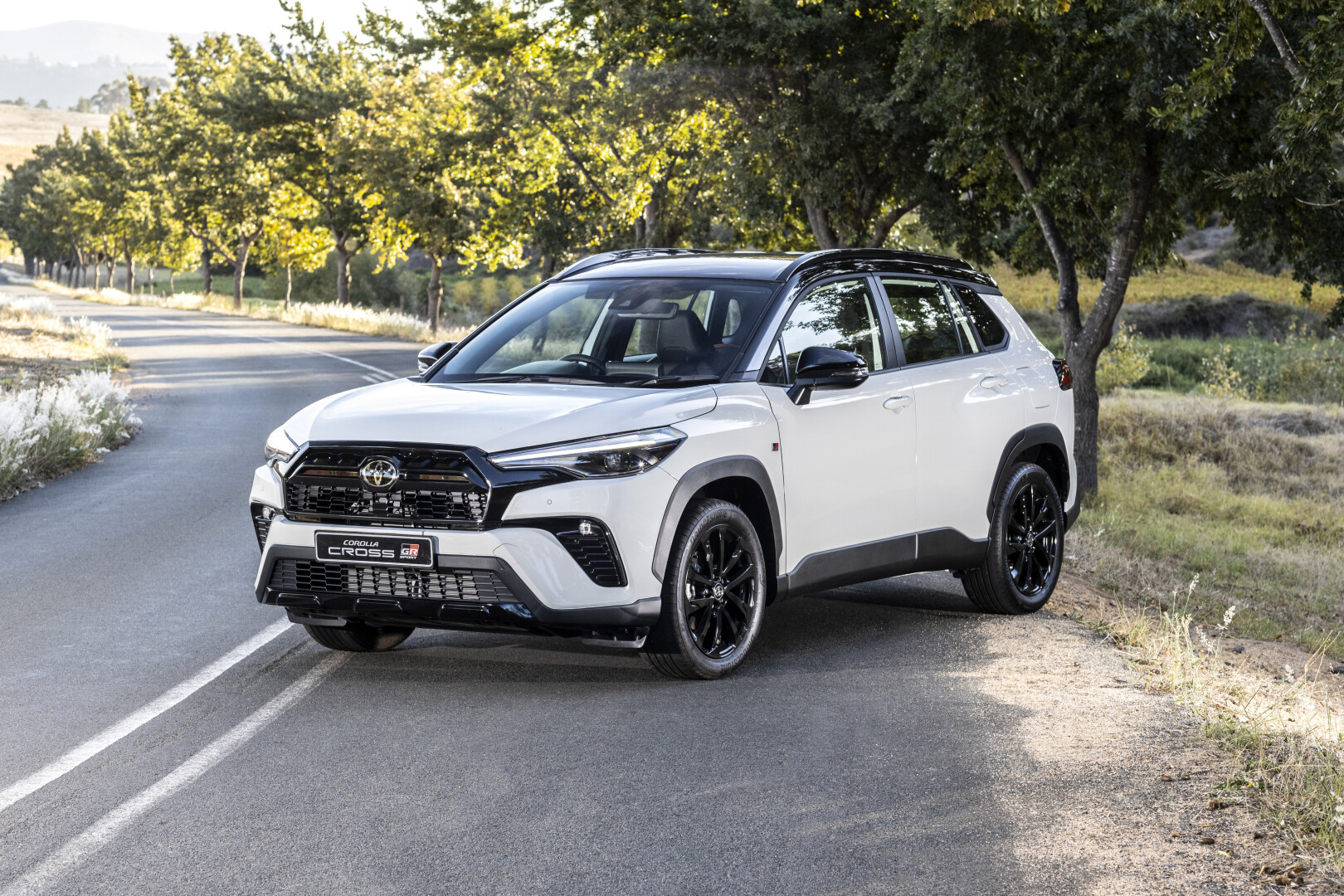 Toyota sells more than 12,000 units in November