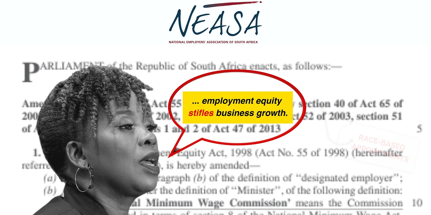 Minister of Labour admits: Employment Equity Stifles Business Growth