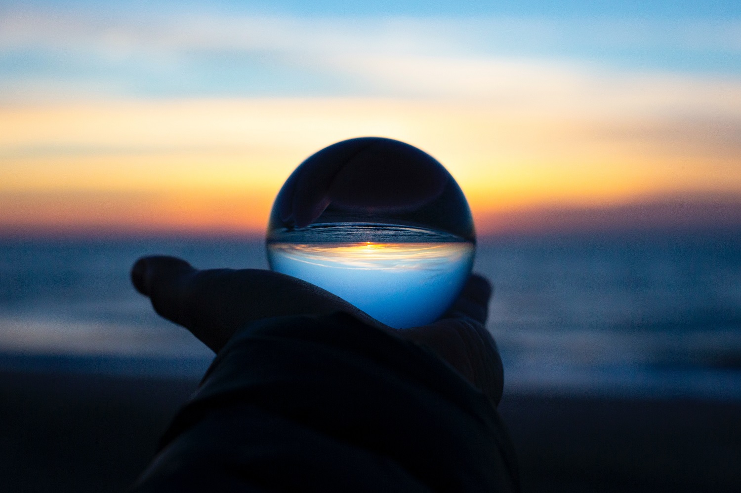 The future supply chain professional: a proactive agent of change