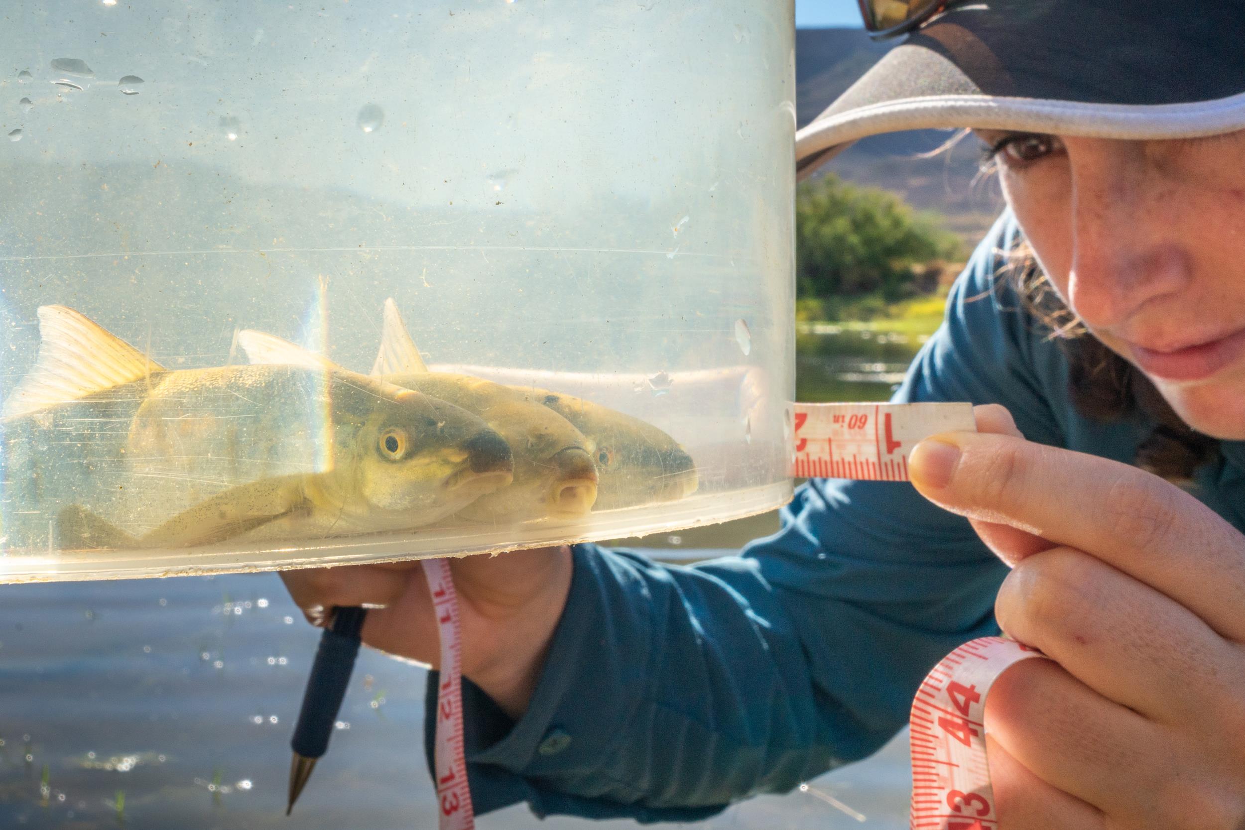 Ford South Africa’s Unwavering Commitment to Sustainability Reaffirmed in Centenary Year