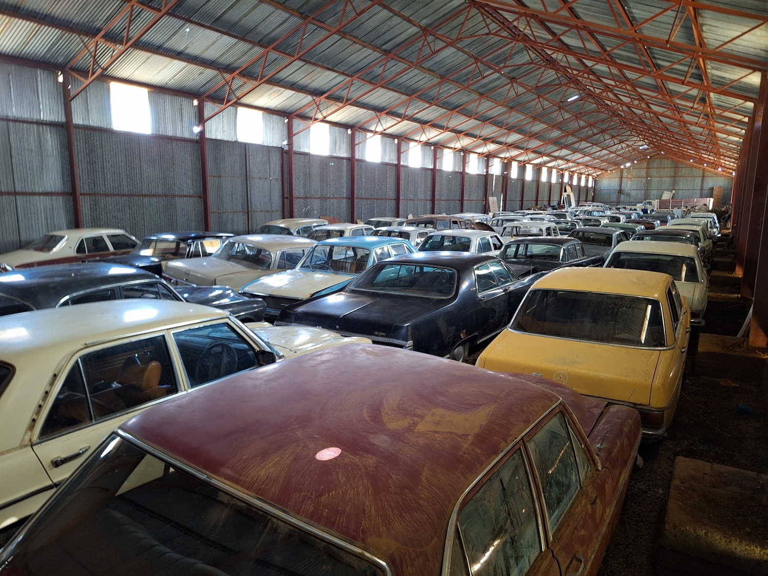 Global expert view: Coetzer Lost Barn Find collection is rare & valuable