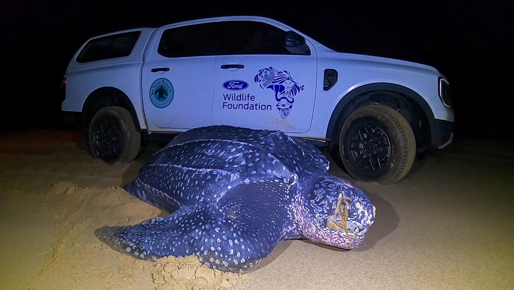 Driving Conservation – FWF and Ford Ranger Support Water Sustainability Projects on World Water Day
