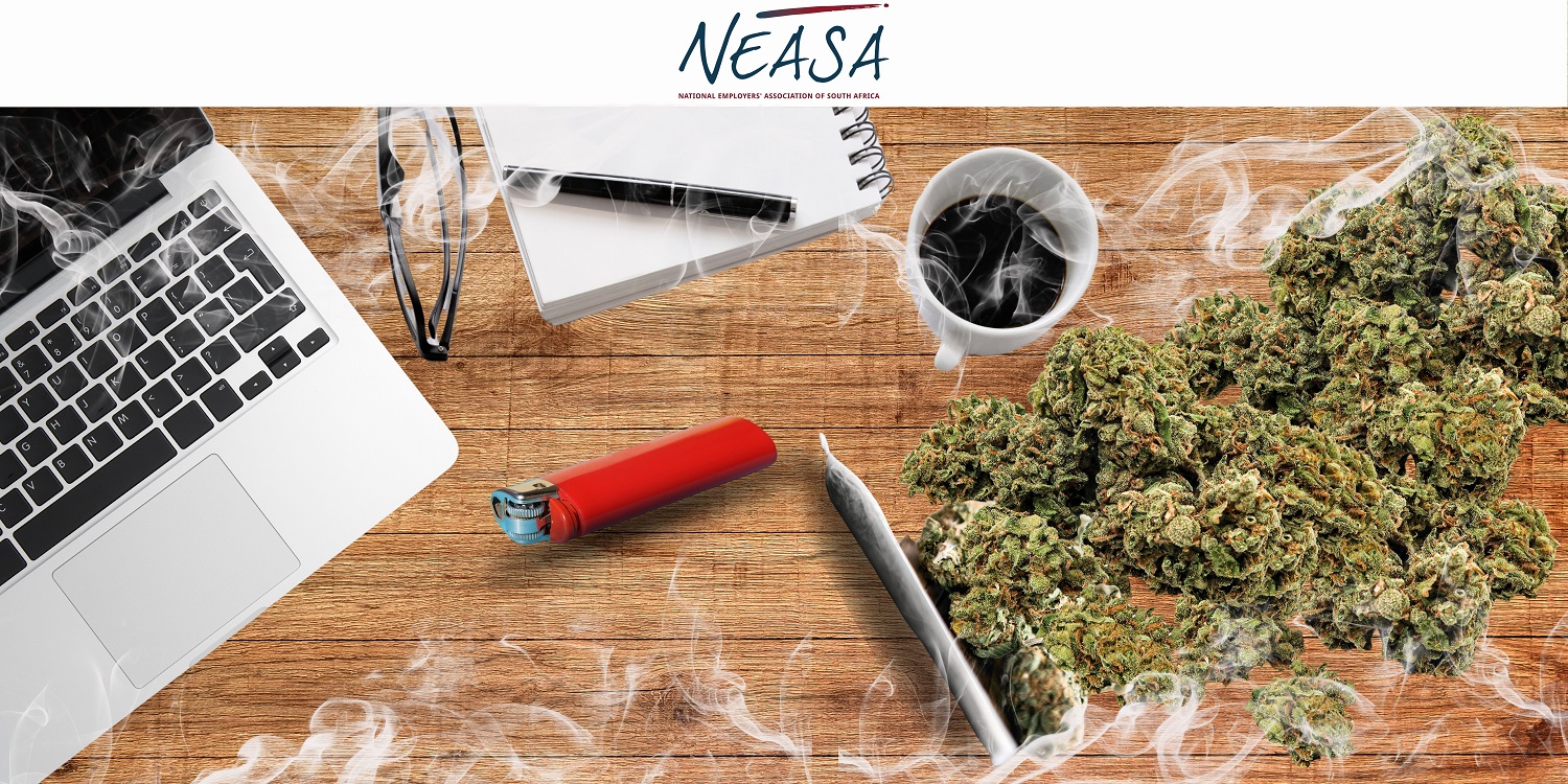 Cannabis in the workplace: Back in the spotlight