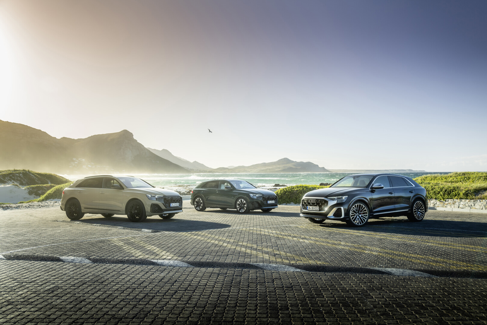 Expressive design and new lightning technology – the upgraded Audi Q8 and SQ8 arrive in South Africa 