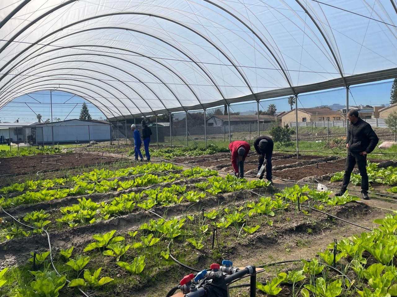 Bridgestone’s green initiatives are a step toward a sustainable South Africa