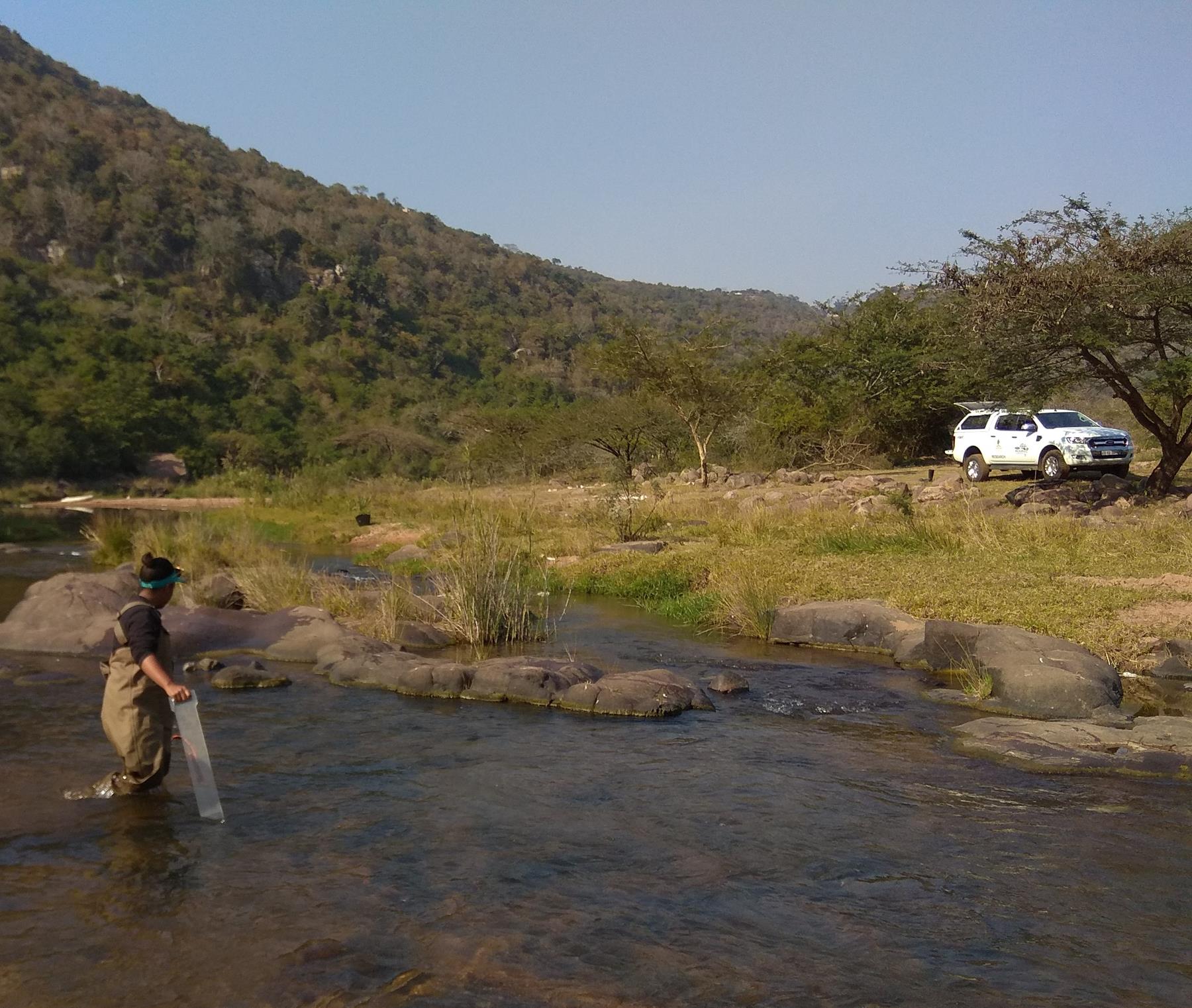 World Rivers Day and the Ford Wildlife Foundation's Contribution to Conservation