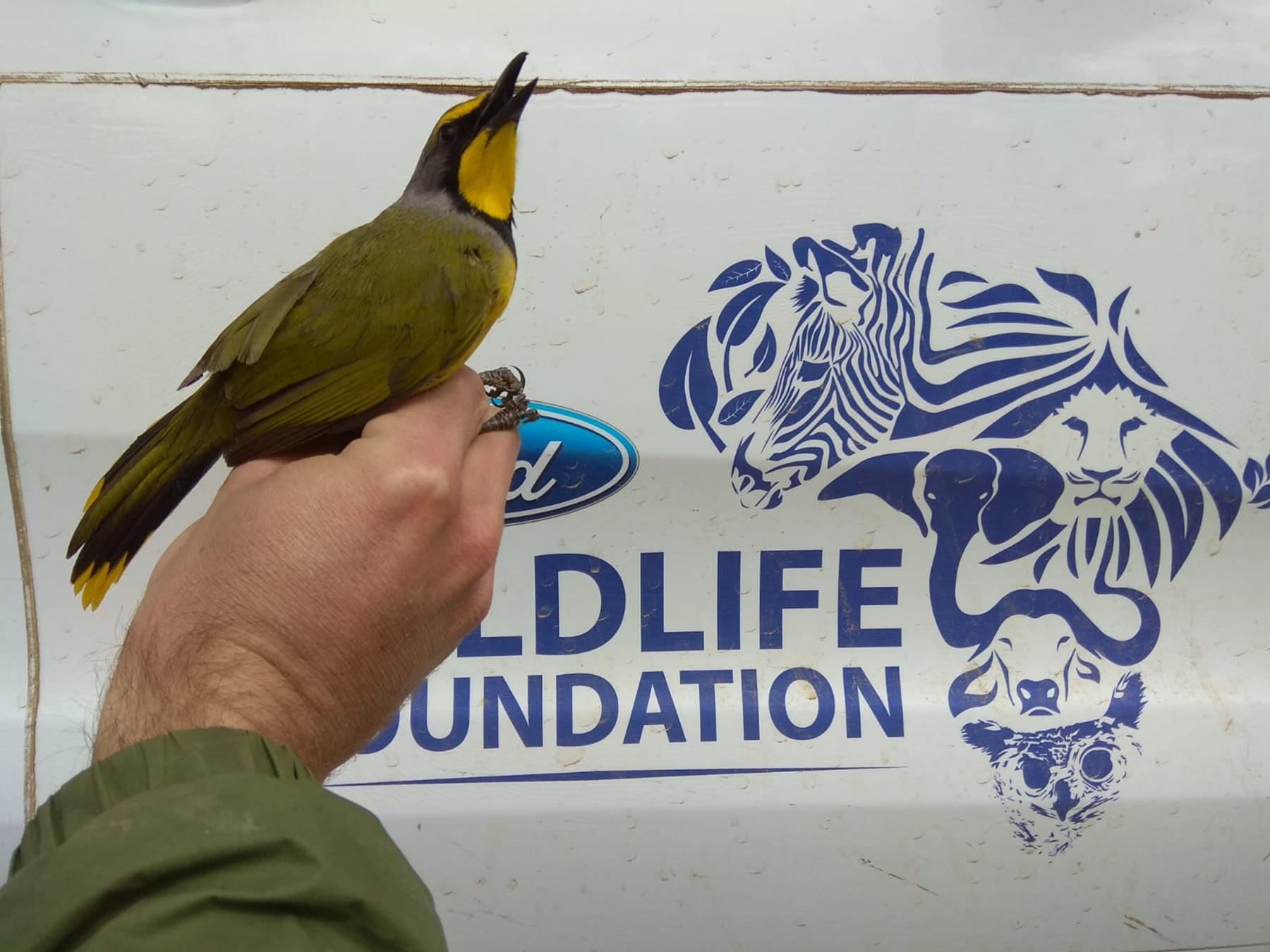 World Rivers Day and the Ford Wildlife Foundation's Contribution to Conservation World Rivers Day and the Ford Wildlife Foundation's Contribution to Conservation