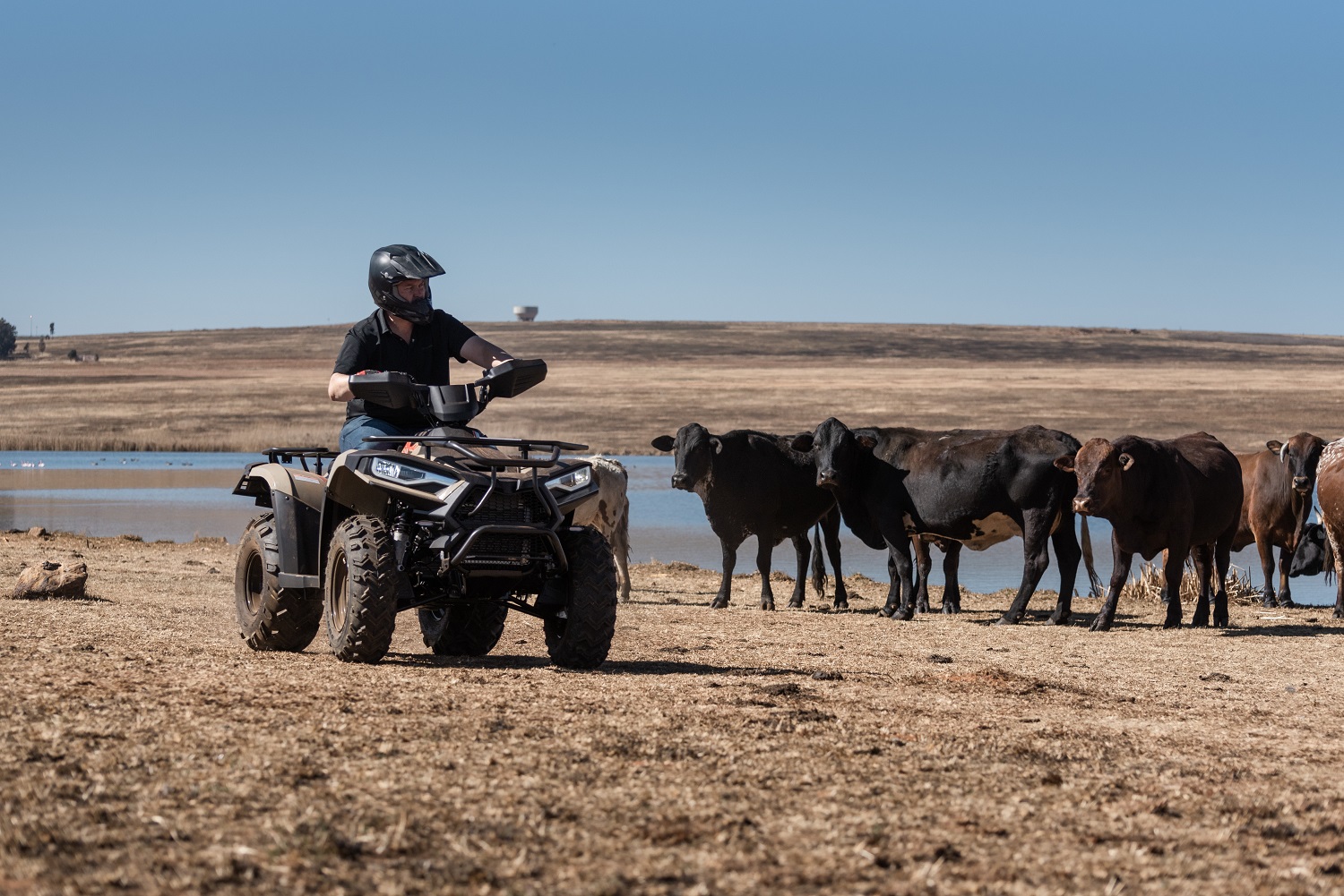 New quad is tough enough for farming