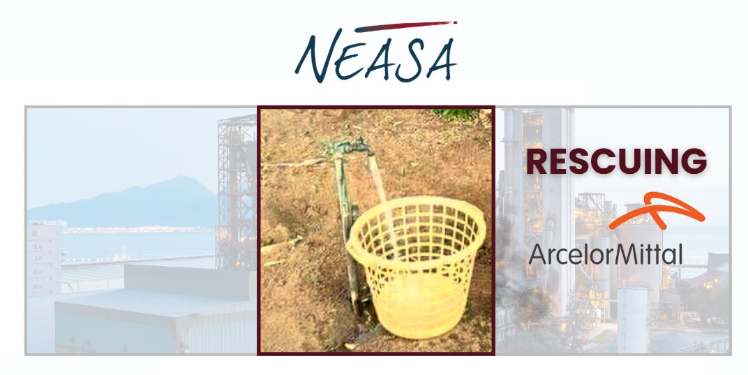 Rescuing AMSA … But at what cost?