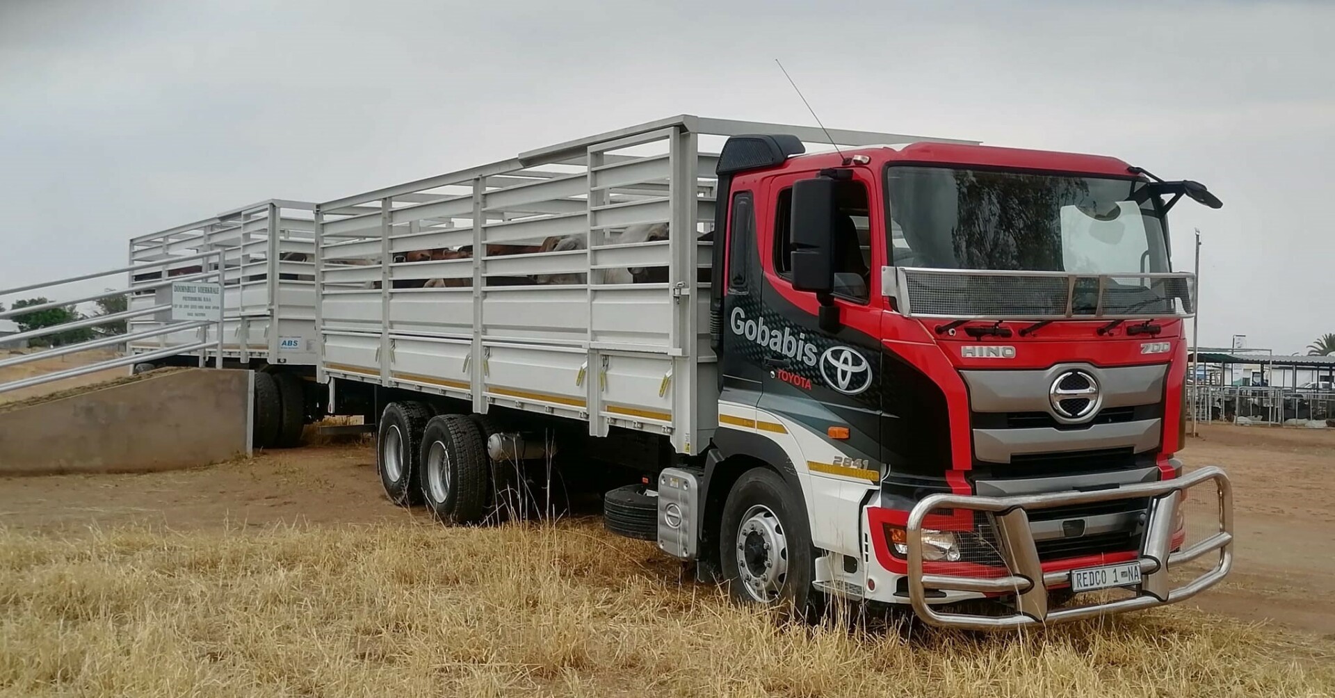 Hino 700 rig excels as a cattle transporter in Namibia 