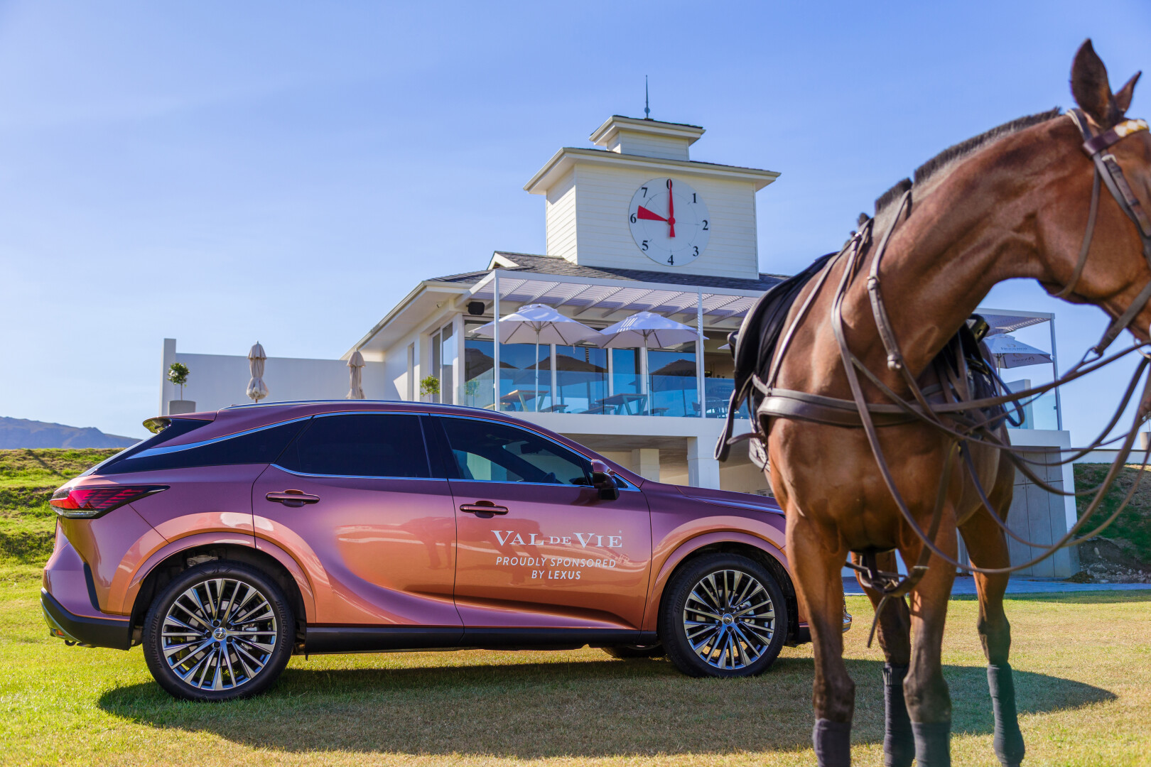 Lexus South Africa champions crucial cancer research as vehicle sponsor for Pink Polo 