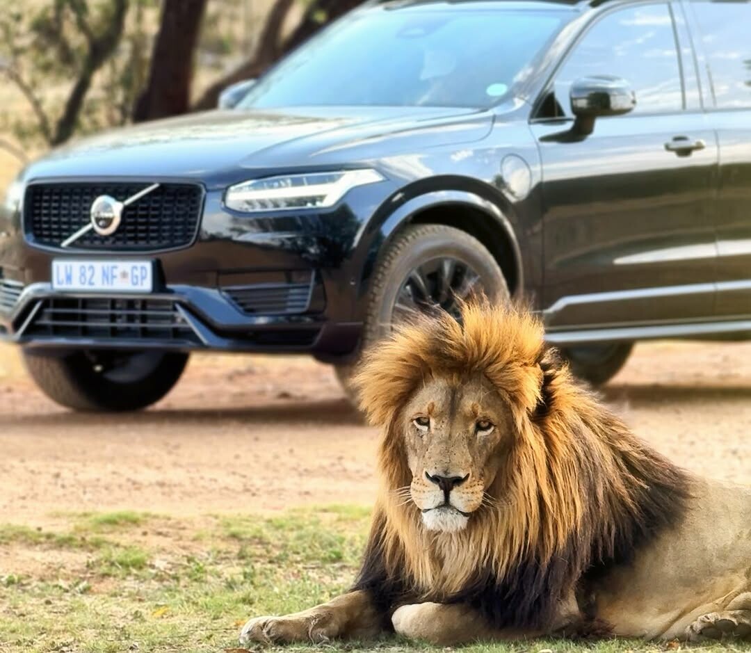 Celebrating World Wildlife Day: Volvo and Shandor Larenty highlight electrified mobility's role in conservation 
