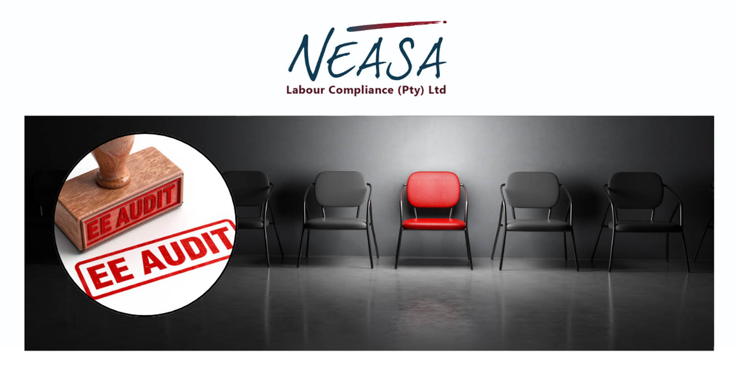 Employment Equity Audits: Is Your Business Ready?