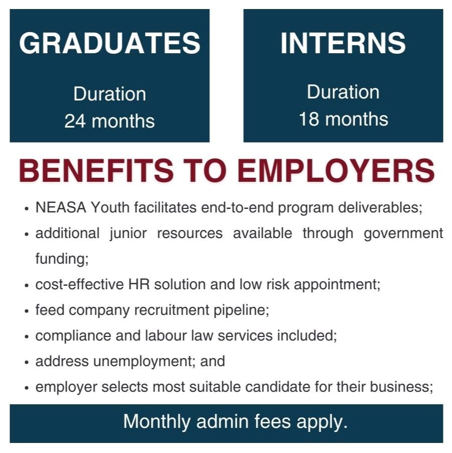 neasa2-junior-resources-104304102024.jpg