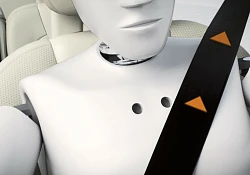 Volvo Car South Africa survey reveals gender differences in seatbelt usage and road safety habits