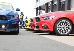 MasterDrive to shine at Festival of Motoring