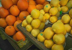 Supply chain industry body commends citrus export milestone but warns that supply chain challenges could sour continued growth