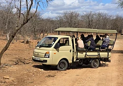 From City Streets to Safari Drives: Hyundai H100 Delivers 10,000 Tourists in the Bush