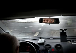 Pandemonium on the roads 