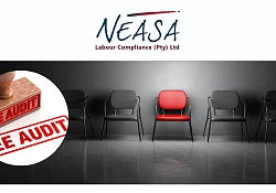Employment Equity Audits: Is Your Business Ready?