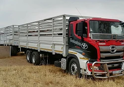 Hino 700 rig excels as a cattle transporter in Namibia 