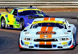 Dunlop Championship Delight